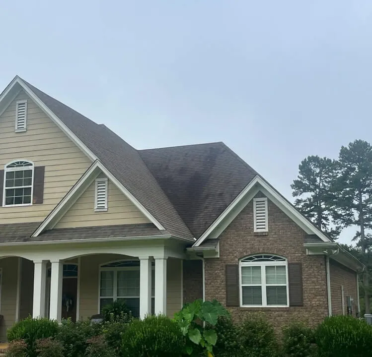 Roof Cleaning — before